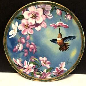 Rufous Hummingbird and Apple Blossoms - Cyndi Nelson - Plate #2701A
